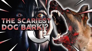 TOP 10 SCARIEST DOG BARKS Which Breed Has The Loudest Scariest Bark [upl. by Ayekin263]