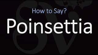 How to Pronounce Poinsettia CORRECTLY [upl. by Bonnette276]