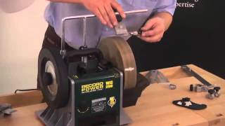 WG250 Wet Stone Grinder  Sharpening a Small Knife [upl. by Body]