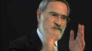 Rabbi Sacks on Tikkun Olam [upl. by Asseralc380]