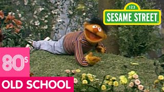 Sesame Street Learn about the Insects in Your Neighborhood [upl. by Adekam]