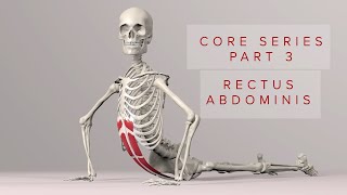 Core Series Part 3 Rectus Abdominis Muscle 3D Animation [upl. by Roswell]