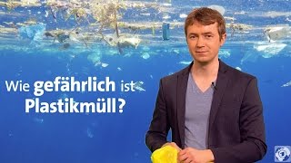 Plastik im Meer  Wie gefährlich ist Plastikmüll [upl. by Nessim109]