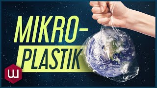 Wie gefährlich ist Mikroplastik wirklich [upl. by Adnuahs86]