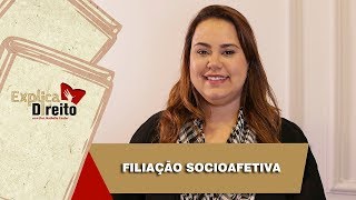 Explica Direito Filiação Socioafetiva  2019 [upl. by Dwaine]