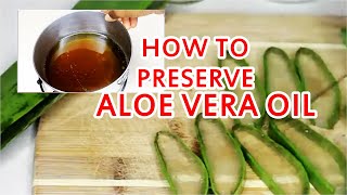 How to Preserve Aloe Vera Oil for Hair Growth Dandruff and Skin [upl. by Renat]