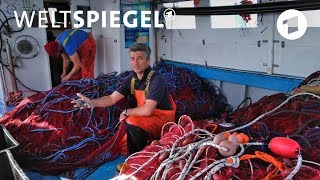 Plastikmüll im Meer Die Plastikfischer von Apulien  Weltspiegel [upl. by Lib]