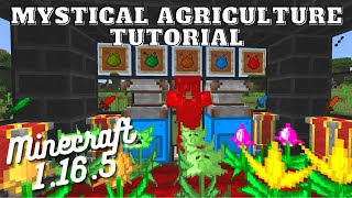 Mystical Agriculture Tutorial  Minecraft 1165 [upl. by Sinned]