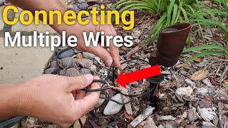 How to connect multiple wires  Landscape Lighting [upl. by Einahpets]