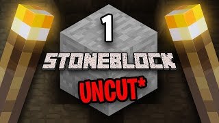 Minecraft StoneBlock Survival Uncut Ep 1 [upl. by Kiefer]