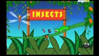 Learn About Insects  Pre School amp Kindergarten Educational Videos  Jingu Kids [upl. by Bilski439]