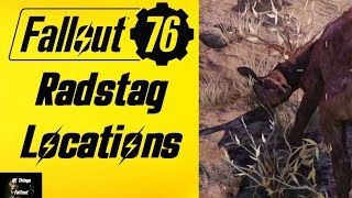 Fallout 76 Radstag Locations [upl. by Siramad]