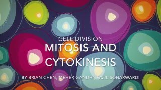 Cell Division  Mitosis and Cytokinesis [upl. by Patnode682]