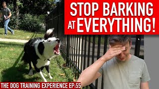 How to Train Your Dog to STOP BARKING at EVERYTHING That Moves [upl. by Sillihp]