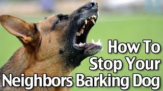 How To Stop Your Neighbor’s Dog From Barking  Short Version [upl. by Kaleb]