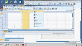 Creating Box Plots with SPSS [upl. by Hutchins162]