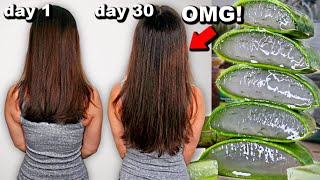 30 DAYS OF ALOE VERA FOR HAIR GROWTH BEFORE AND AFTER RESULTS [upl. by Allimrac]