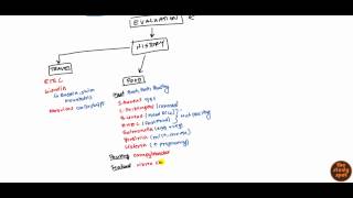 Acute Diarrhea for USMLE [upl. by Aiduan6]