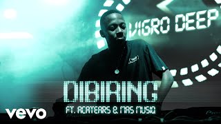 Vigro Deep  Dibiring Visualizer ft Acatears Mas Musiq [upl. by Duomham]