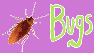 Bad Bugs  Insect Pests for Kids [upl. by Crisey202]