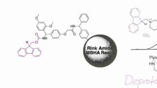 Fmoc Solid Phase Peptide Synthesis [upl. by Delanie]