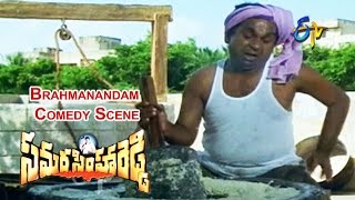 Samarasimha Reddy Telugu Movie  Brahmanandam Comedy Scene  Balakrishna  Simran  ETV Cinema [upl. by Orteip922]