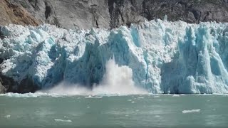 Massive Glacier Calving  Alaska  Lindblad Expeditions [upl. by Nahguav751]