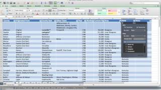 Using Excel Tables for Genealogy [upl. by Diogenes537]