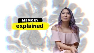 Memory Explained  FULL EPISODE  Vox  Netflix [upl. by Nonad]