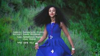 Mekdes Abebe  መቅደስ አበበ  New Ethiopian Official Music  Fikir ena Wana [upl. by Nilatak]