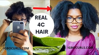 4 WAYS to use ALOE VERA to ACCELERATE HAIR GROWTH 4C ALOE VERA OIL FOR HAIR GROWTH LEAVE IN amp MORE [upl. by Dylana]