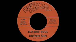 Frozen Sun  Electric Soul Long Version [upl. by Siramay]