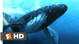 5Headed Shark Attack 2017  Humpback Whale vs 4Headed Shark Scene 310  Movieclips [upl. by Eberto]