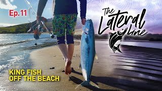 Fishing top water lures off the beach in New Zealand [upl. by Foote673]