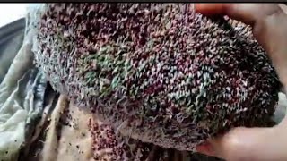 how to make sprouted ragi powder recipe [upl. by Eikram]