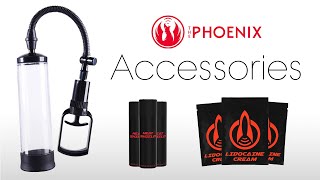 The Phoenix  Accessories [upl. by Emixam]