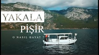 YAKALA PİŞİR  İNCE TAKIM PARAGAT İLE GELENLER  balıkçılık [upl. by Nevaed]