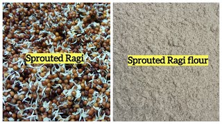 How to Sprout Ragi finger millet and Make Sprouted Ragi Flour  Gluten free ragi flour [upl. by Callan265]