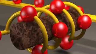 Inductors and Inductance [upl. by Lawler]