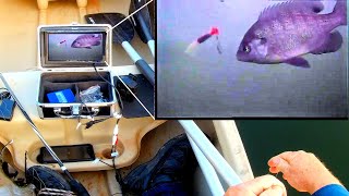 🔥 2020 REVIEW Eyoyo Underwater Fishing Camera Live Handson Testing [upl. by Redan]