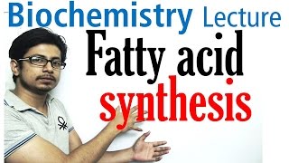 Fatty acid synthesis [upl. by Rebmyt409]