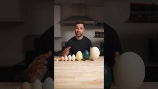 I Cooked the World’s CRAZIEST Eggs [upl. by Lasley]