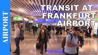 TRANSIT WALK AT FRANKFURT Airport FRA Terminal 1  Connection Flight Transfer Arriving amp Departing [upl. by Keheley]