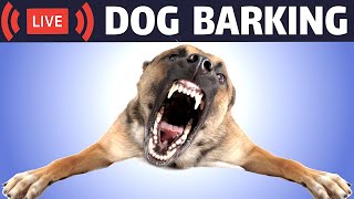 Dog Barking Sound  Dogs Barking Live Bark [upl. by Disini6]